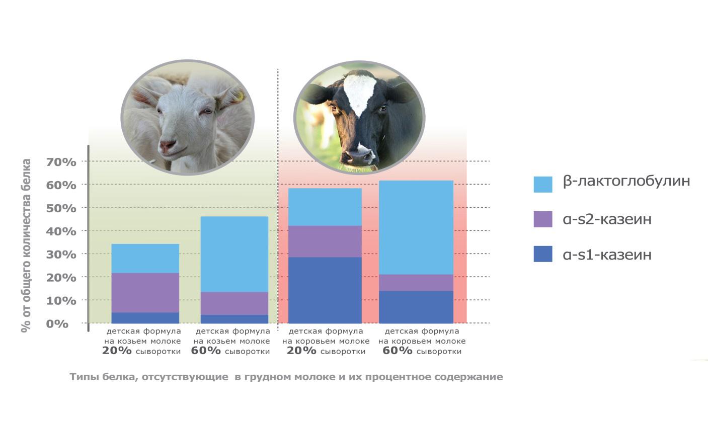 Различия козьего и коровьего молока по качеству и составу