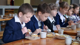 В Совете Федерации ведётся разработка законопроекта по вопросам школьного питания