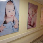 После демографического подъема в Татарстане вновь снижается рождаемость