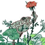 жаба и роза