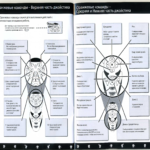 Instruktsiya 6 Robot WowWee Spaydermen